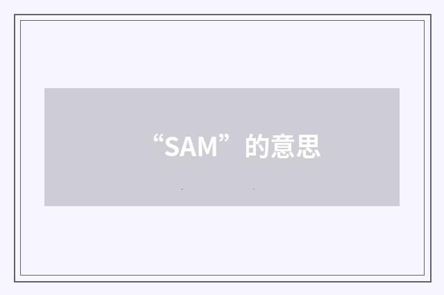 “SAM”的意思