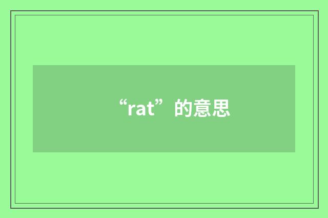 “rat”的意思