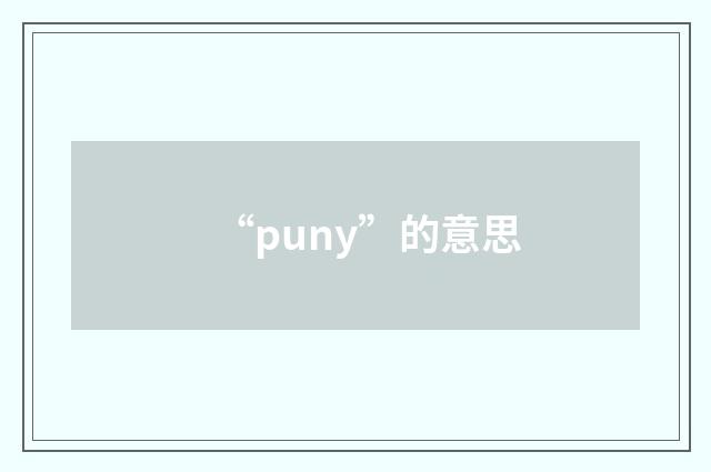 “puny”的意思