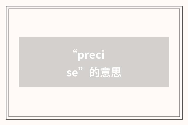“precise”的意思
