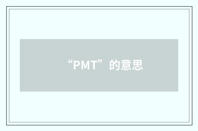 “PMT”的意思