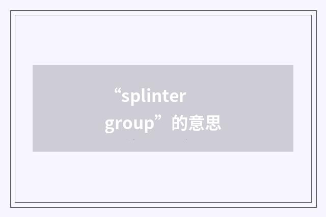 “splinter group”的意思
