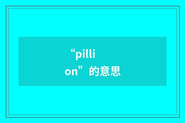 “pillion”的意思
