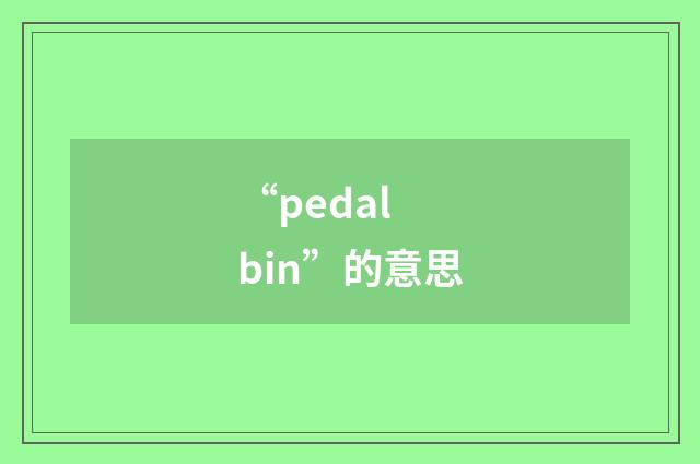 “pedal bin”的意思