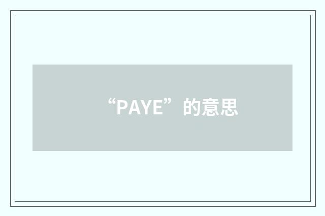 “PAYE”的意思