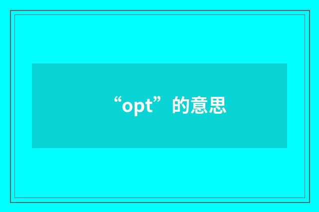 “opt”的意思