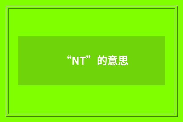 “NT”的意思