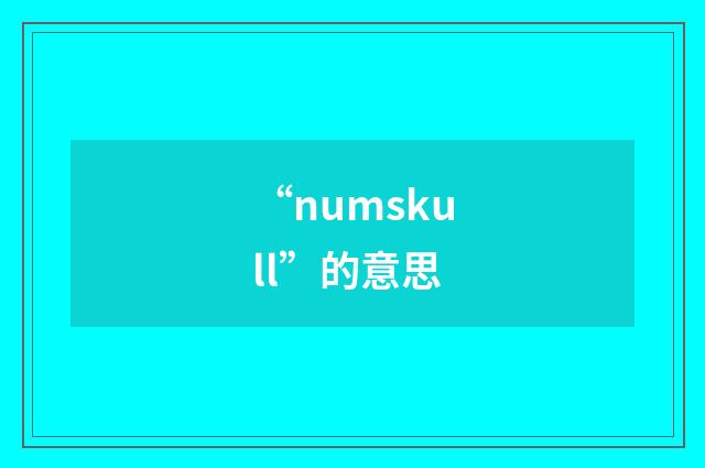 “numskull”的意思