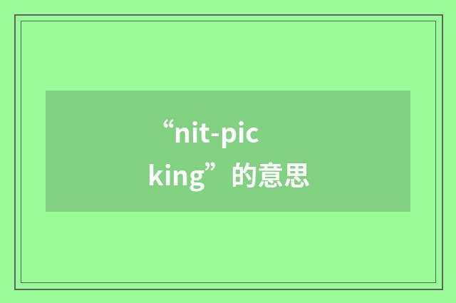 “nit-picking”的意思