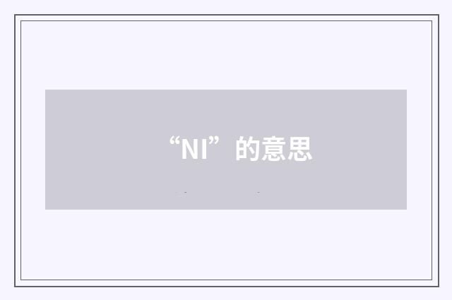 “NI”的意思