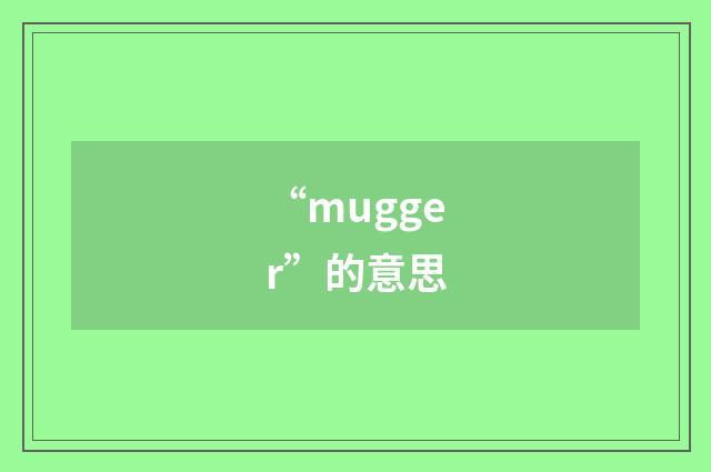 “mugger”的意思
