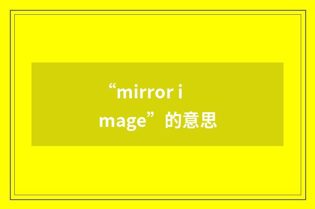 “mirror image”的意思