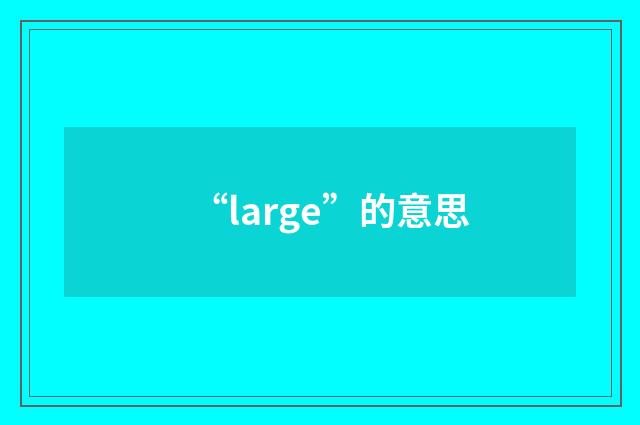 “large”的意思