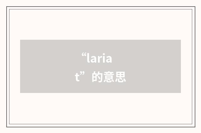 “lariat”的意思