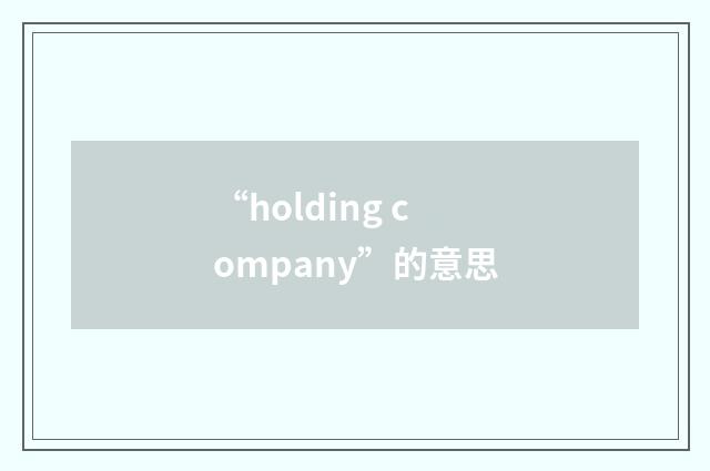 “holding company”的意思