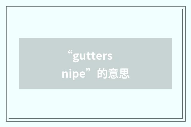 “guttersnipe”的意思