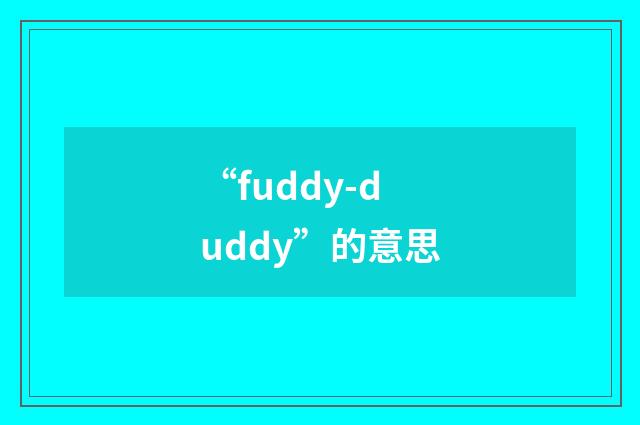 “fuddy-duddy”的意思