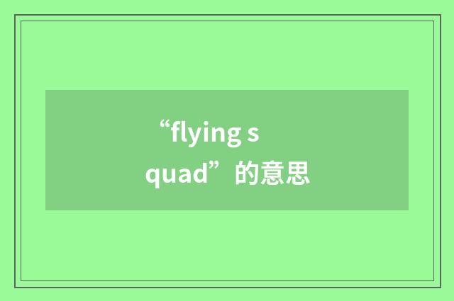 “flying squad”的意思