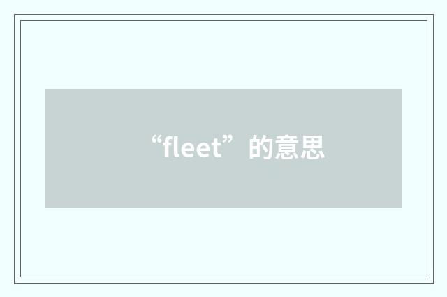 “fleet”的意思