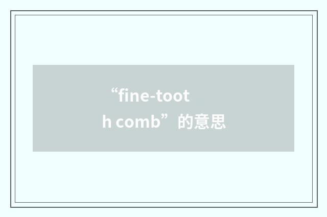 “fine-tooth comb”的意思