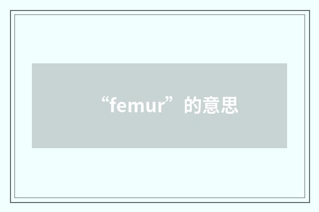 “femur”的意思