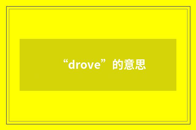 “drove”的意思