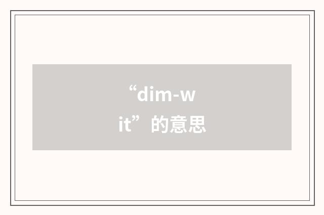 “dim-wit”的意思