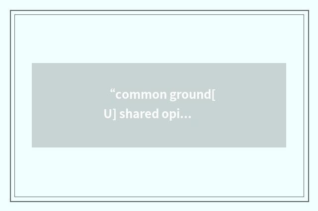 “common ground[U] shared opinions, interests, aims,”的意思