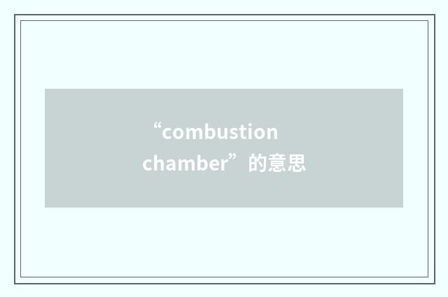 “combustion chamber”的意思