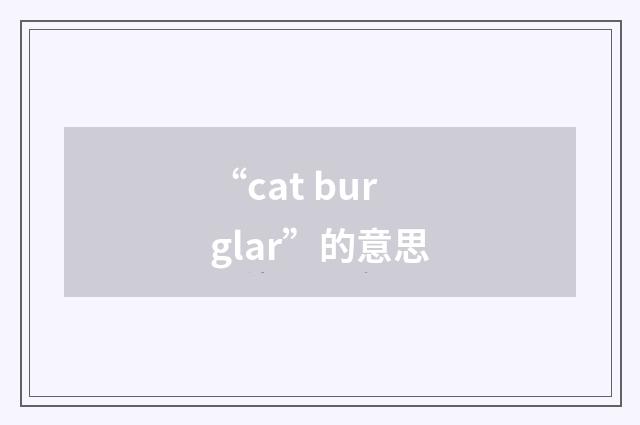 “cat burglar”的意思
