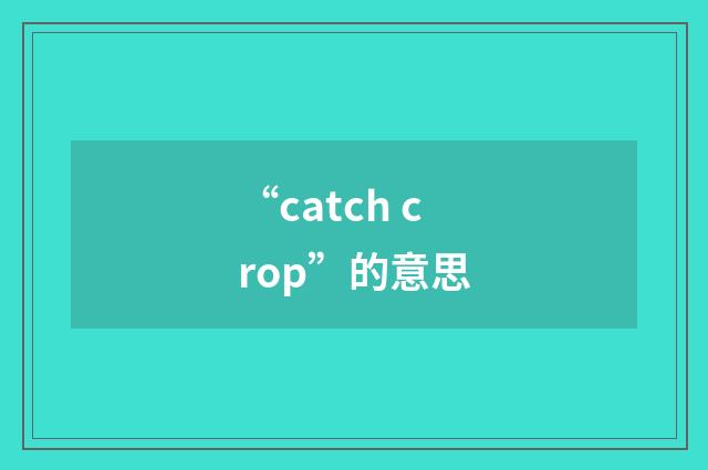 “catch crop”的意思