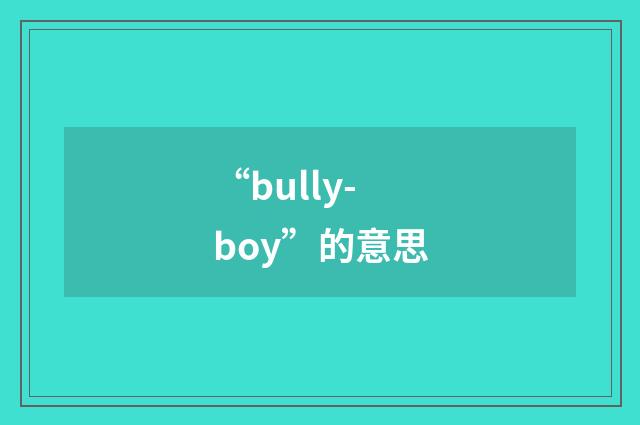 “bully-boy”的意思