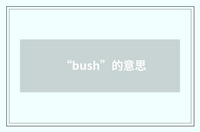 “bush”的意思