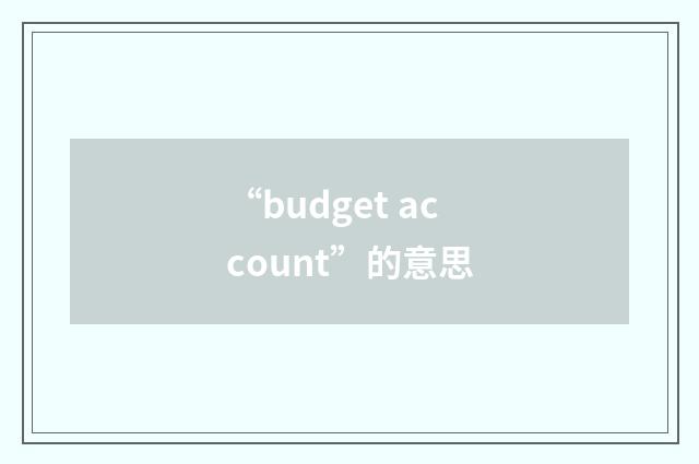 “budget account”的意思