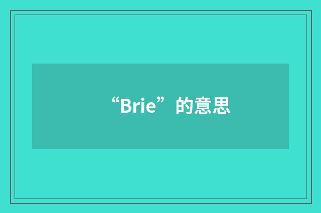 “Brie”的意思