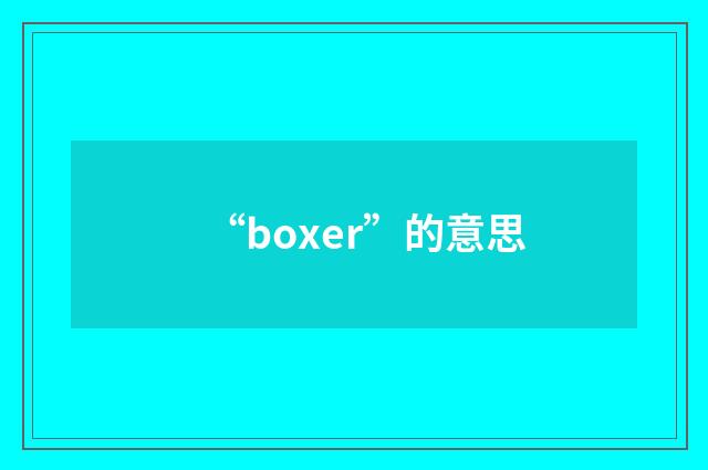 “boxer”的意思