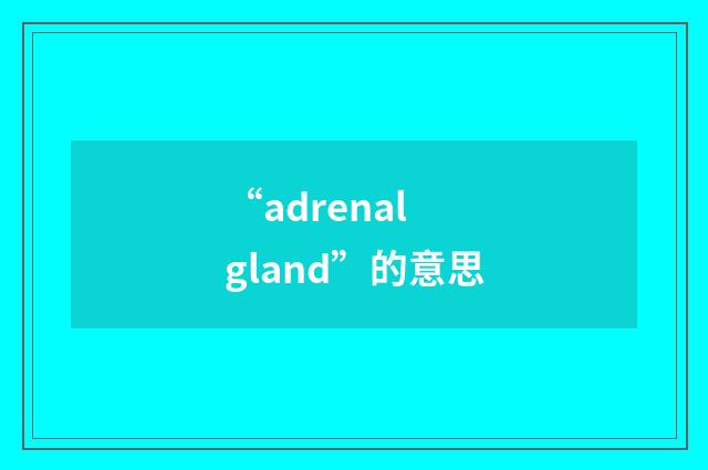 “adrenal gland”的意思