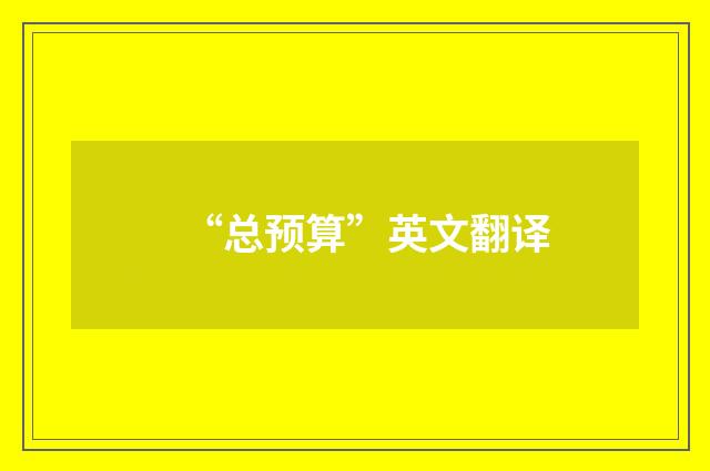 “总预算”英文翻译