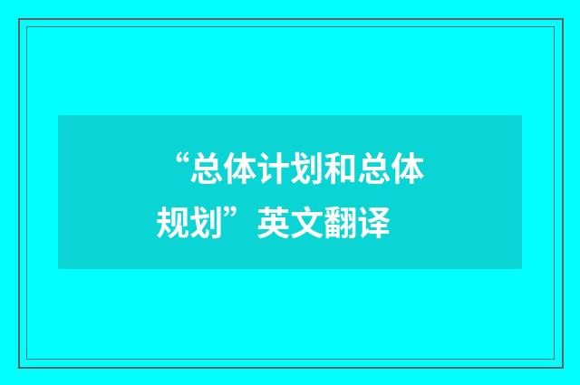 “总体计划和总体规划”英文翻译