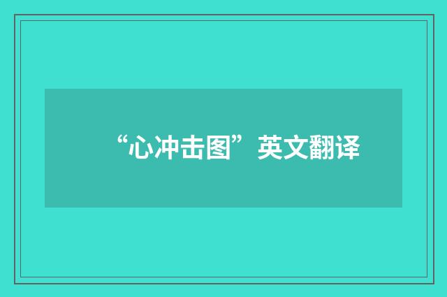 “心冲击图”英文翻译