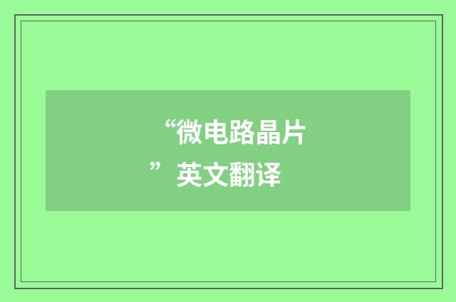 “微电路晶片”英文翻译