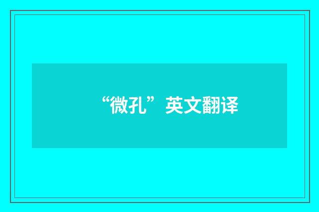 “微孔”英文翻译