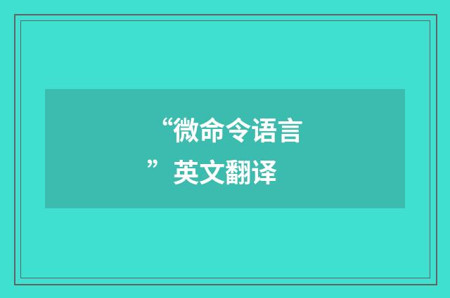 “微命令语言”英文翻译
