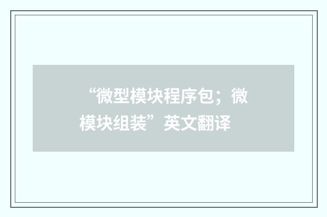 “微型模块程序包；微模块组装”英文翻译