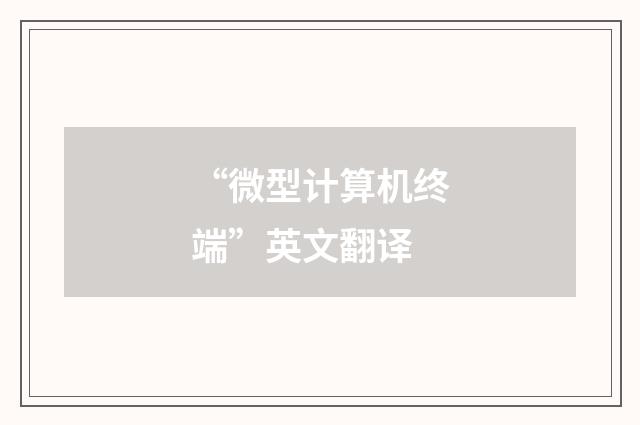 “微型计算机终端”英文翻译