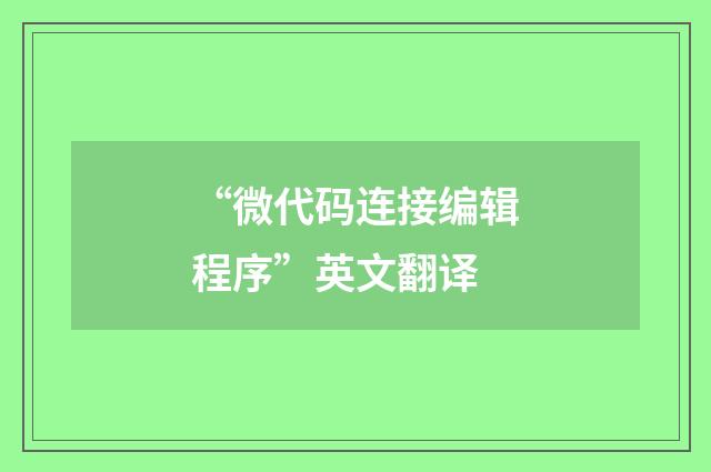 “微代码连接编辑程序”英文翻译