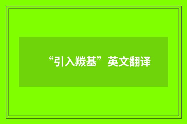 “引入羰基”英文翻译