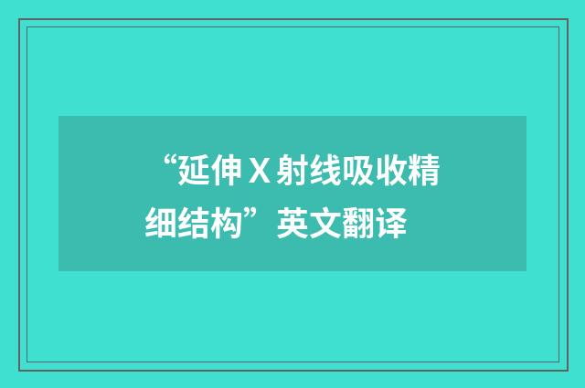 “延伸X射线吸收精细结构”英文翻译