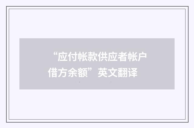 “应付帐款供应者帐户借方余额”英文翻译