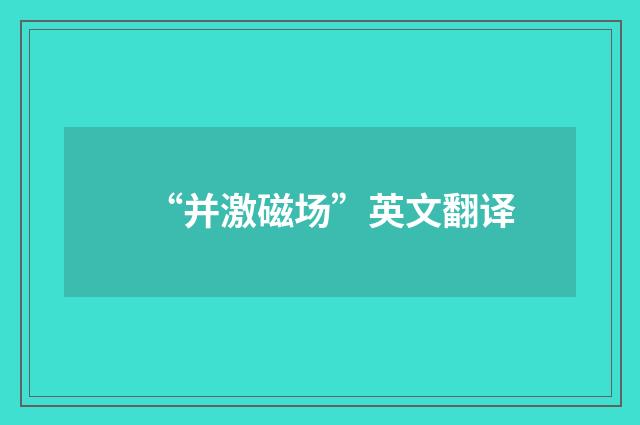 “并激磁场”英文翻译